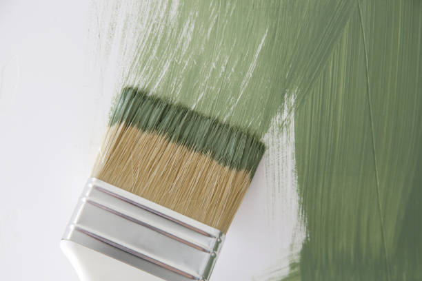 Best Mold Documentation for Insurance Claims  in Auburn, NE