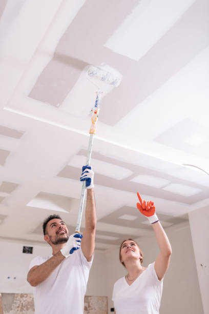 Best Industrial Mold Remediation  in Auburn, NE