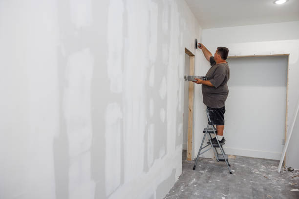 Best Asbestos and Lead Testing During Mold Inspection  in Auburn, NE