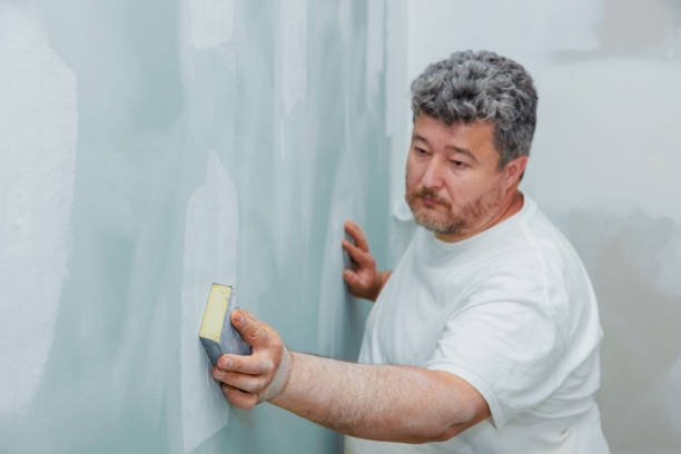 Best Forensic Mold Investigation  in Auburn, NE