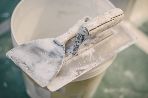Best Mold Removal for HVAC Installations  in Auburn, NE